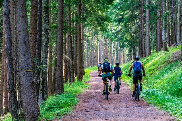 cyklisté v lese