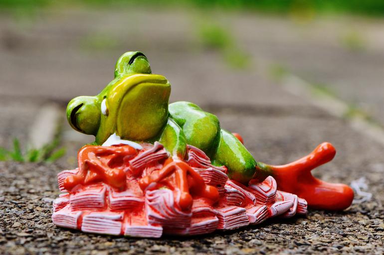 žabák na penězích