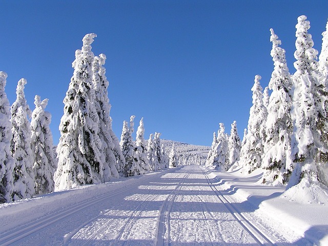 zima v Krkonoších